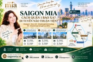 Saigon Mia Cách Quận 1 Bao Xa? Đi Tuyến Nào Thuận Tiện?